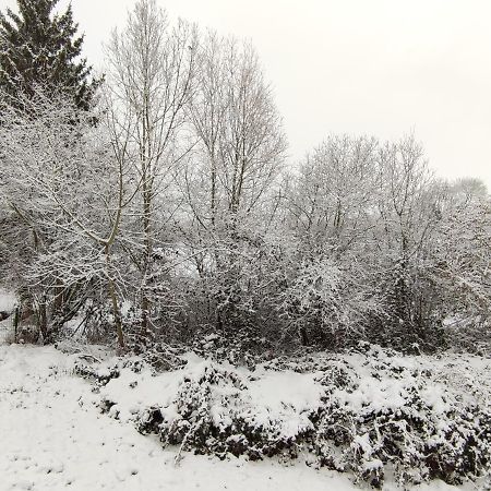 Gite Les Eylauds Pionsat Exterior photo